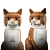 main-image-4-removebg-preview.png