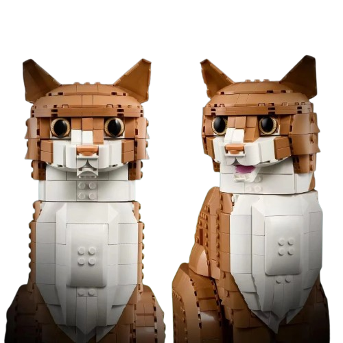 main-image-4-removebg-preview.png